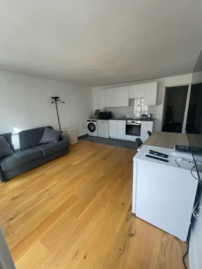Élégant appartement Paris 6ème